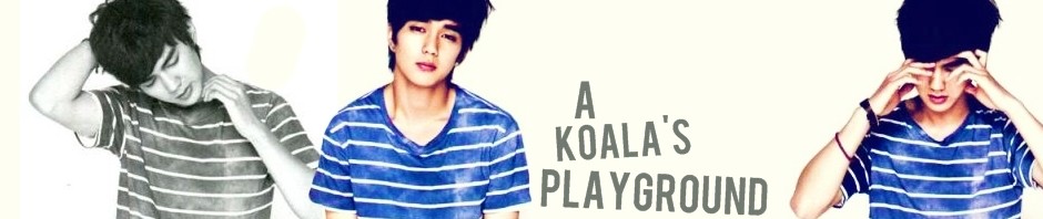 A Koala's Playground