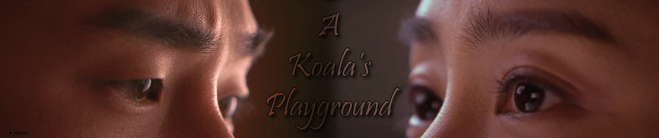 A Koala's Playground