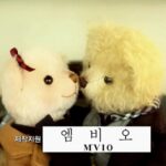 Two teddy bears touching noses on red seat