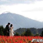 Couple in red flower field with mountain