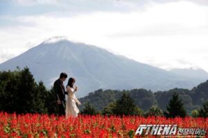 Romantic pair strolling through scarlet flower field