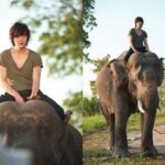 Person riding elephant on a dirt road