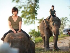 Person riding elephant on a dirt road
