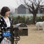 Woman by mailbox in park with white dog