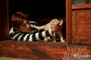 Person playfully interacting with a cat.