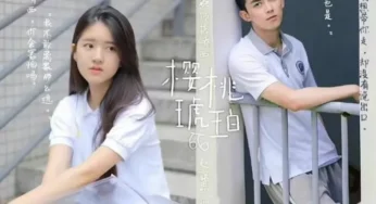 Wu Lei and Zhao Lu Si Reportedly Cast in Modern Romance C-drama Cherry Amber Making it the Third Time Working Together After Love Like the Galaxy and The Long Ballad